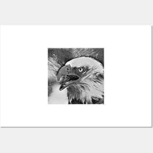 AnimalArtBW Eagle 001 Posters and Art